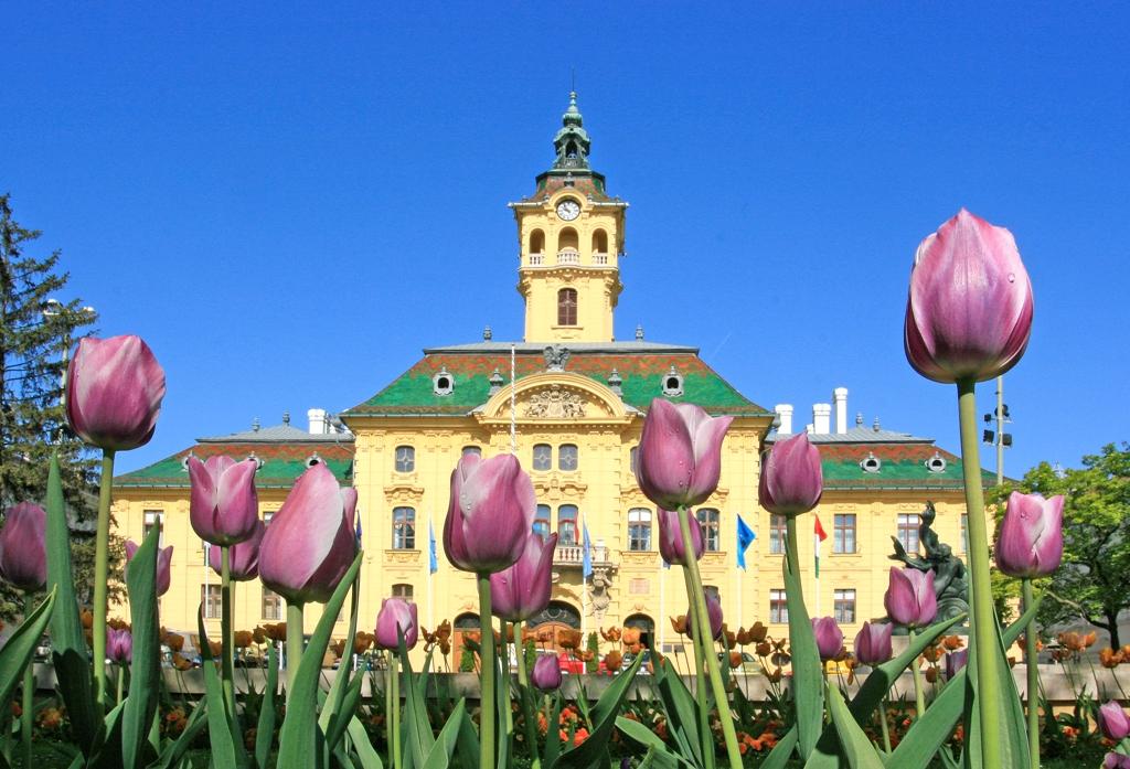  City Hall